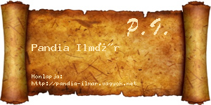 Pandia Ilmár névjegykártya